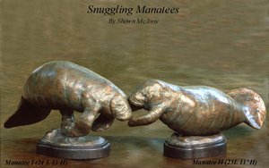 Snuggling Manatees by Shawn McAvoy (2001)
