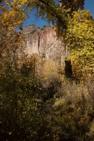Tom Ouellette_Autumn Seclusion by Tom Ouellette