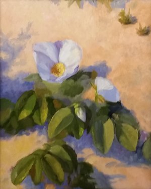 Beach Rose by Beth Johnston