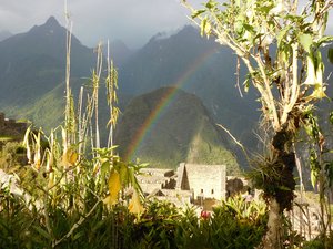 Pegi Shea_October Machu Pichu Spring by Pegi Deitz Shea