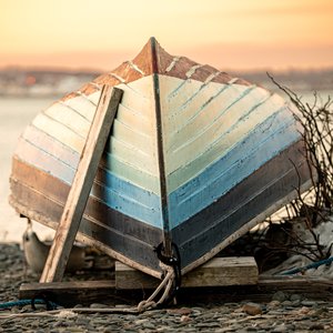Resting Between The Tides by Jennifer Whelan (2026)