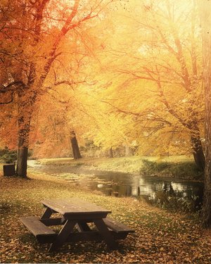 Linda_Ouellette_Autumnal-Daze by Linda Ouellette