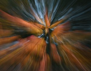 The Phoenix and the Flame by Kara Simmers