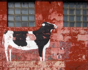 Barn Art in Sterling CT by Christine Acebo