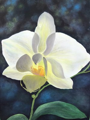 Norma Herring