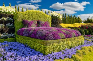 Philipp_Tad_03_Flower Bed by Tad Philipp