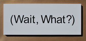  (Wait, What?) by Merrill Smith Jr. (2024)