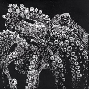 Arms of the Octopus by Carrie Howard