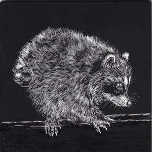 Jimothy on the Fence by Carrie Howard