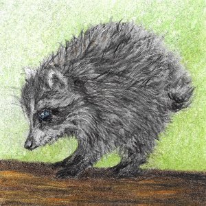 Tiny Jimothy by Carrie Howard