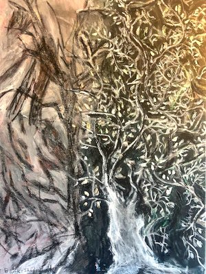 West Bank: shadowland by Gloria Klaiman (2026)