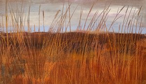 Orange Glow by Joan Gallagher