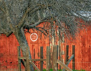 Wright Barn by Carolyn McLeod (2025)