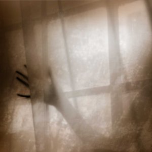 Through the Veil by Jenny Abramson