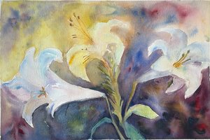 Janet Cornacchio — portfolio