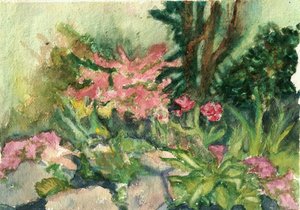Rock Garden by Janet Cornacchio