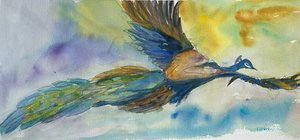 Peacock in Flight by Janet Cornacchio