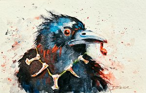 Murder Crow by Debra Meier (2025)