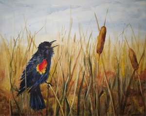 Blackbird Sings by Debra Meier (2026)