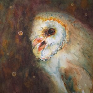 Owl and Firefly I by Debra Meier (2025)