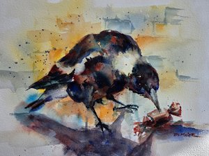 Lucky Find by Debra Meier (2026)