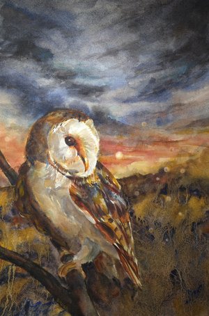 Owl and Firefly II by Debra Meier (2026)