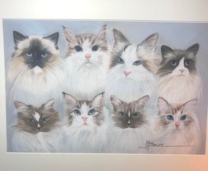 8 cat grouping by Joseph Brewer (2020)
