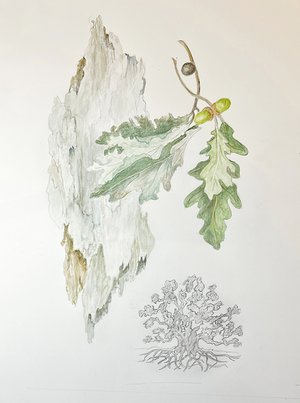 waters by Alice Waters