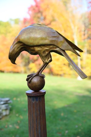 Hawk V. Watch Wait by Daniel Murray
