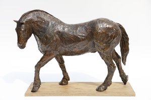 Young Work Horse by Daniel Murray