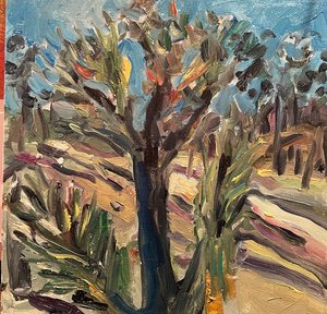 Afternoon Light in Joshua Tree Desert by SIVIA BRAUNSTEIN (2026)