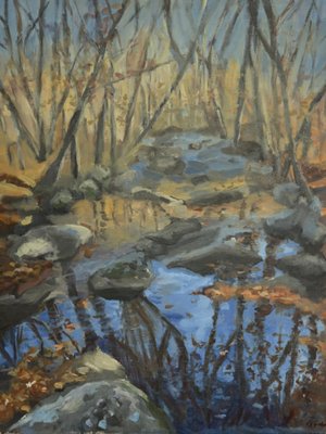Robin Fisher