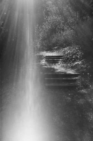 steps by Melora Walters