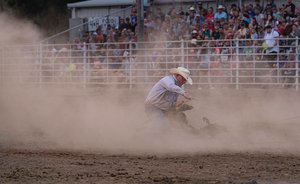 A little dusty by Kevin Vivers (2024)