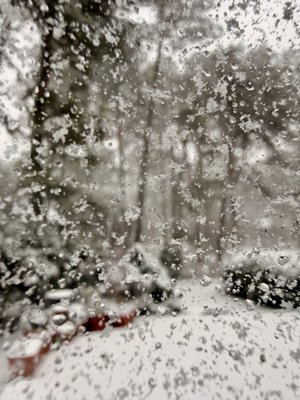 Iced Door by Cheryl Best (2026)
