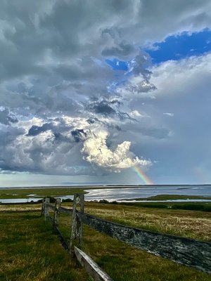 After The Storm by Cheryl Best (2025)