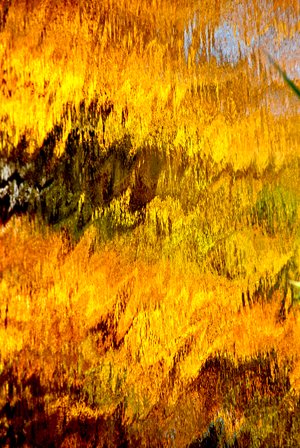 Reflections of Fall by Cheryl Best (2024)