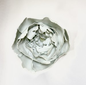 Snow White Peony by Cheryl Best (2026)