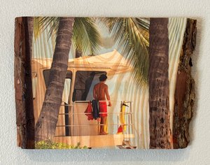 Lifeguard Hawaii by Gerry Wilson