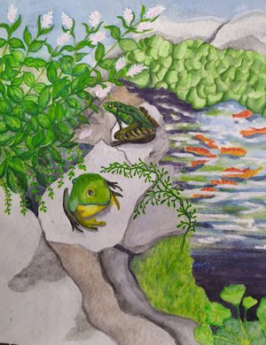 Frog pond by Ann marie Curley (2025)