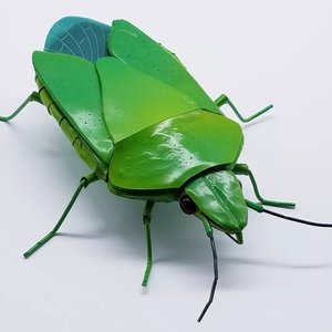 Green Stink Bug  by Dennis Ciccoli (2023)