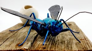 Blue Mud Dauber Wasp  by Dennis Ciccoli (2023)