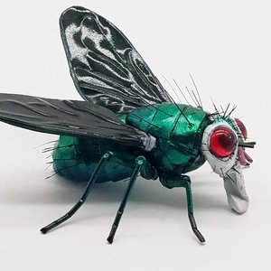 Green Bottle Fly  by Dennis Ciccoli (2025)
