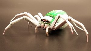 Whitebanded Crab Spider  by Dennis Ciccoli (2025)
