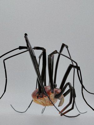 Daddy Long Legs  by Dennis Ciccoli (2026)