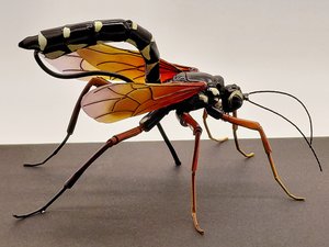 Sabre Wasp  by Dennis Ciccoli (2026)
