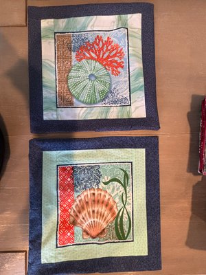 IMG 3265 pillow cases by Jean Dixon