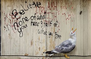 Squawk by Stephanie Luke (2024)