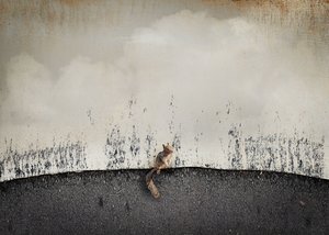 The Squirrel on the Hill by Stephanie Luke (2024)