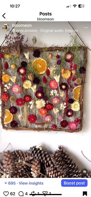 dried flower frame by simone devries